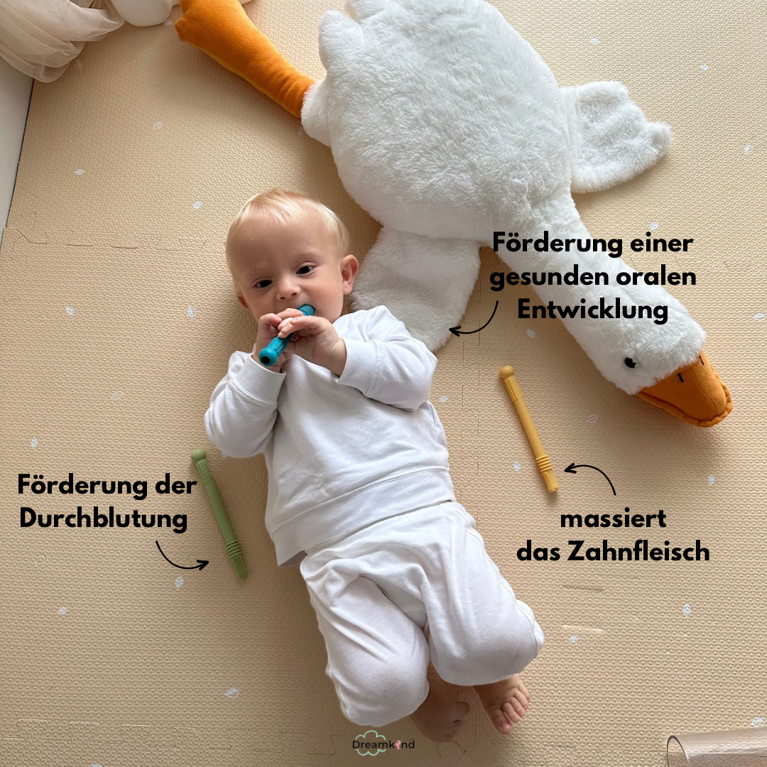 Dreamkind® Beißröhrchen – Sanfte Zahnungshilfe für Babys