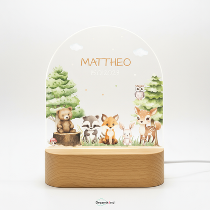 Personalisiertes Nachtlicht